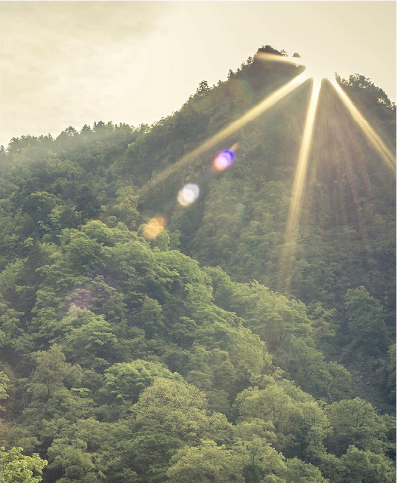 The sun flares in the lens just above the peak of a lush green, densely forested mountain landscape. Several peaks and the indentations of valleys are visible, and the sky appears partially white and dense as if inside a cloud.