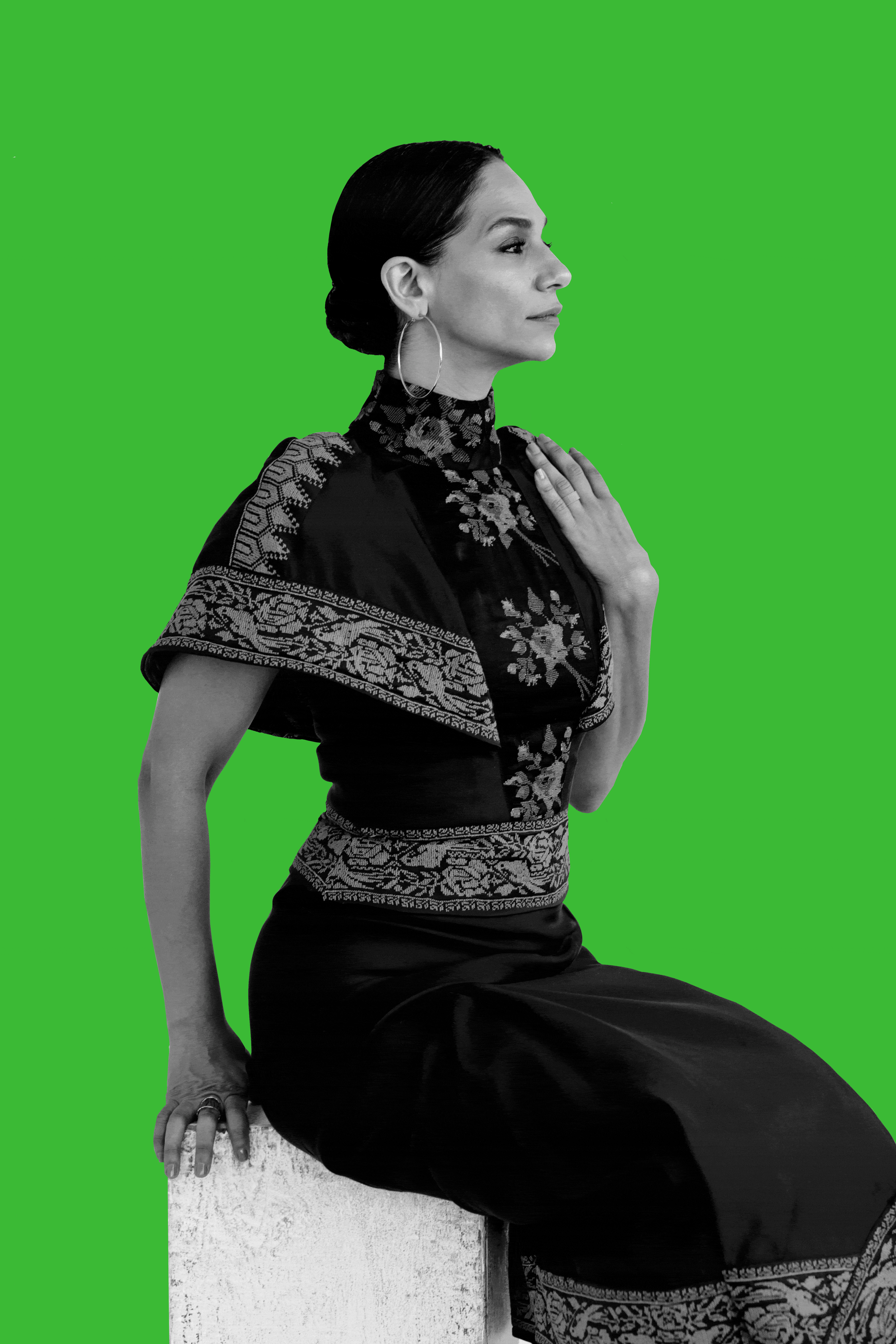 Noura Erakat sits on a white pedestal and faces right. She wears a traditional Palestinian dress with intricate embroidery and flutter sleeves and hoop earrings. The background alternates between neon pink and green, while Noura appears filtered in black and white.